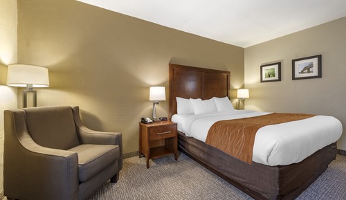 Standard Room, 1 King Bed, Non Smoking
