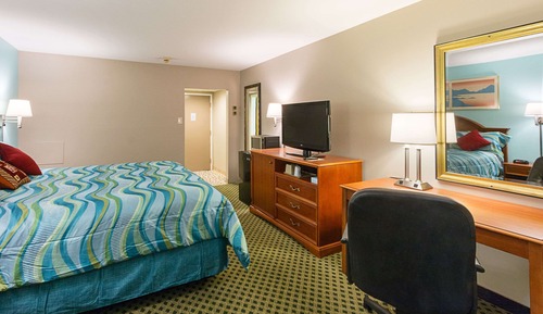 Standard Room, 1 King Bed, Non Smoking