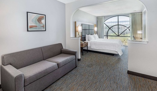 Studio Suite, 1 King Bed, Non Smoking (Studio)