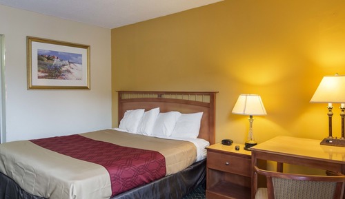 Standard Room, 1 King Bed, Non Smoking