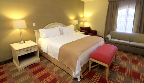 Room, 1 King Bed with Sofa bed