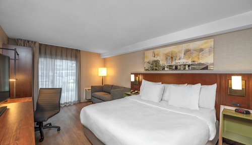 Room, 1 King Bed with Sofa bed, Non Smoking (Pet-Friendly)