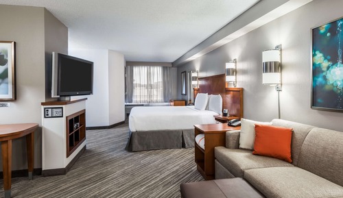 Room, 1 King Bed, Accessible (with Shower)