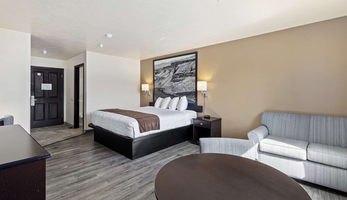 Standard Room, 1 King Bed, Non Smoking, Refrigerator & Microwave
