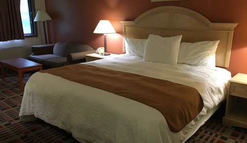 Room, 1 King Bed