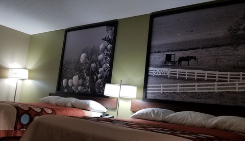 Studio Suite, 2 Queen Beds, Non Smoking