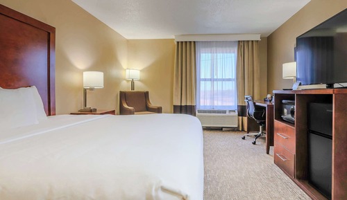Room, 1 King Bed, Non Smoking