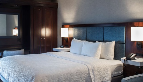 King Study, 1 King Bed with Sofa bed