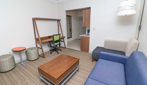 Suite, 1 King Bed with Sofa bed