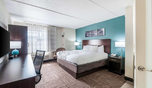 1 King Bed Room, Non-Smoking