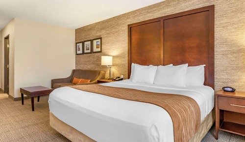 Standard Room, 1 King Bed with Sofa bed, Non Smoking (2 Person Sofa Bed)