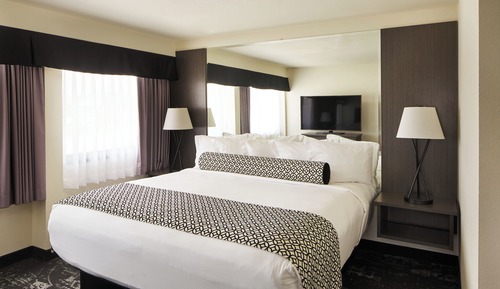 Executive Suite, 1 King Bed