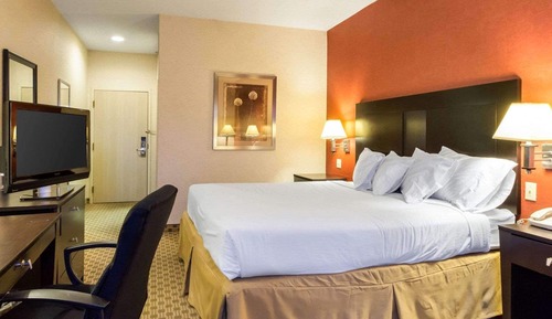 Standard Room, 1 King Bed, Non Smoking