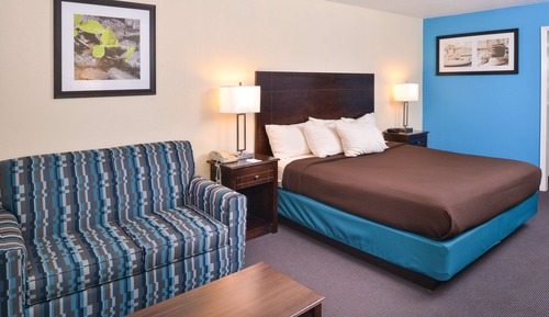 Room, 1 King Bed, Non Smoking
