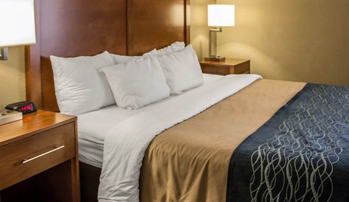Standard Room, 1 King Bed with Sofa bed, Smoking
