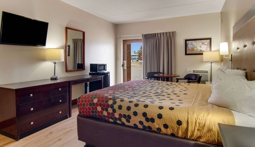 Room, 1 King Bed