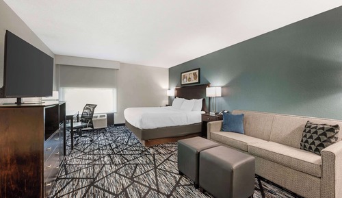 Standard Room, 1 King Bed, Accessible, Non Smoking (Walk-in Shower;with Sofabed)