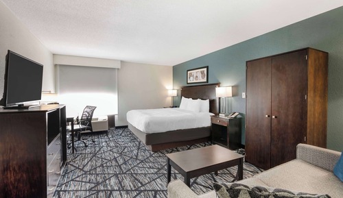 Standard Room, 1 King Bed, Non Smoking, Refrigerator & Microwave (with Sofabed)