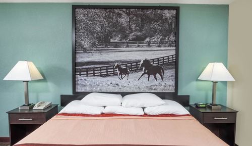Basic Room, 1 King Bed, Non Smoking