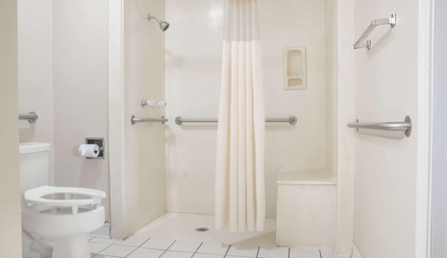Room, 1 King Bed, Accessible, Non Smoking (Roll-in Shower)