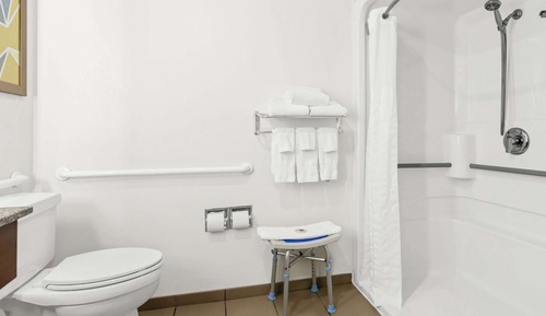 Room, 1 King Bed, Accessible, Non Smoking (Roll-In Shower)