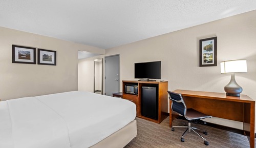 Suite, 1 King Bed, Accessible, Non Smoking