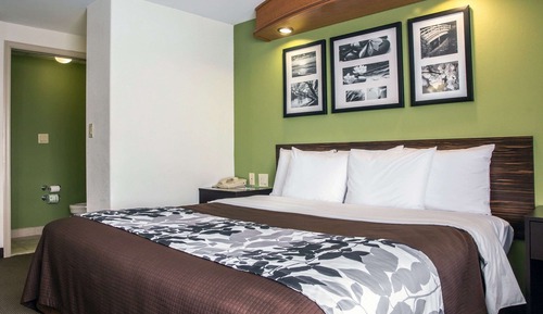 Standard Room, 1 King Bed, Non Smoking