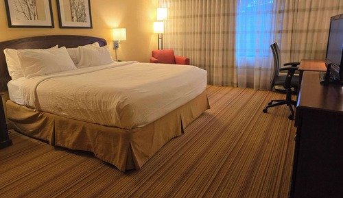 Room, 1 King Bed, Accessible, Non Smoking