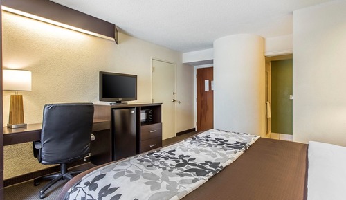 Standard Room, 1 King Bed, Non Smoking