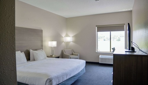 Deluxe Room, 1 King Bed, Accessible, Non Smoking (Roll-In Shower)