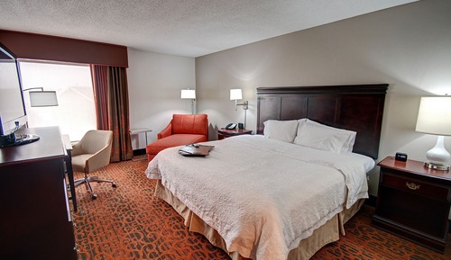 Room, 1 King Bed, Accessible, Non Smoking