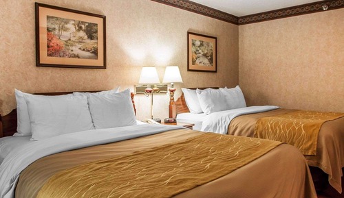 Standard Room, 2 Queen Beds, Non Smoking