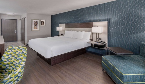 Room, 1 King Bed, Accessible, Non Smoking (Mobility, Bathtub w/Grab Bars)