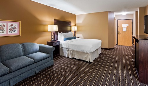 Standard Room, 1 King Bed, Accessible, Refrigerator & Microwave (with Sofabed)