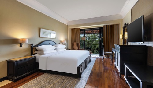 Executive Room, 1 King Bed, Balcony, Mountain View