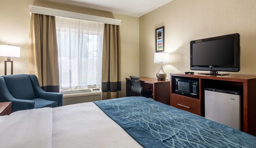 Room, 1 King Bed, Non Smoking