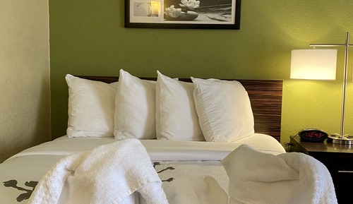Standard Double Room, 2 Double Beds, Non Smoking
