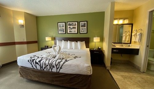 Standard Room, 1 King Bed, Non Smoking