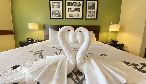Room, 1 Double Bed, Accessible, Non Smoking