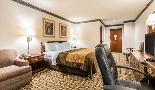 Standard Room, 1 King Bed, Non Smoking