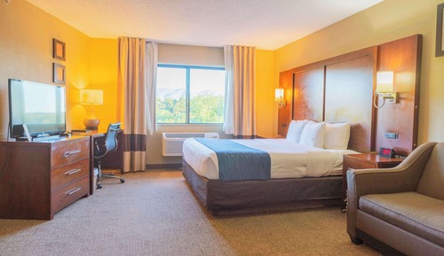 Standard Suite, 1 King Bed with Sofa bed, Non Smoking