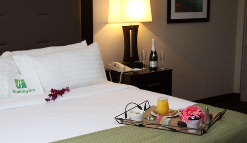 Standard Room, 1 King Bed, Roll-in Shower (Communications)