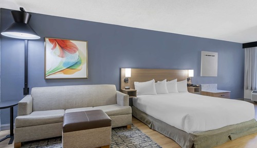 Room, 1 King Bed (High Floor)