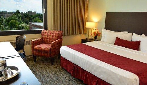 Standard Room, 1 King Bed