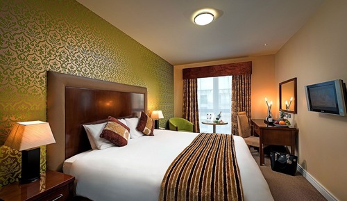Room, 1 King Bed