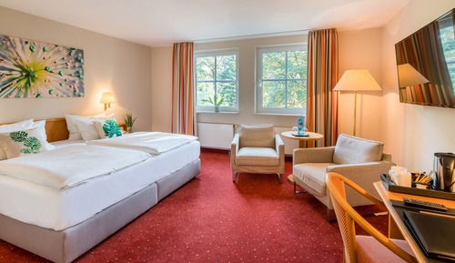 Superior Double Room, Non Smoking