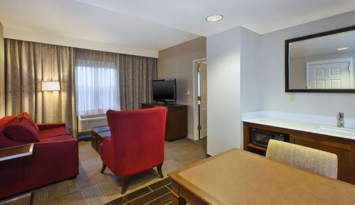 Suite, 1 King Bed with Sofa bed