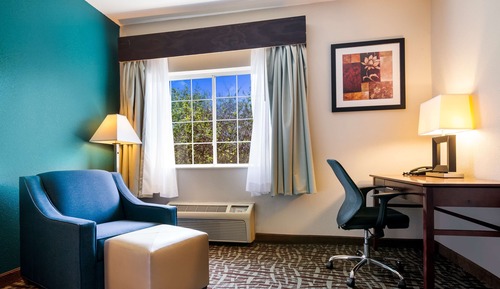 Standard Room, 1 King Bed, Non Smoking, Refrigerator & Microwave (Larger Room)