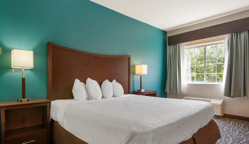 Standard Room, 1 King Bed, Non Smoking, Refrigerator & Microwave (Small Room)