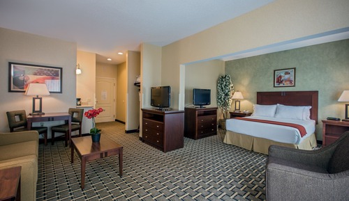 Suite, 1 Queen Bed